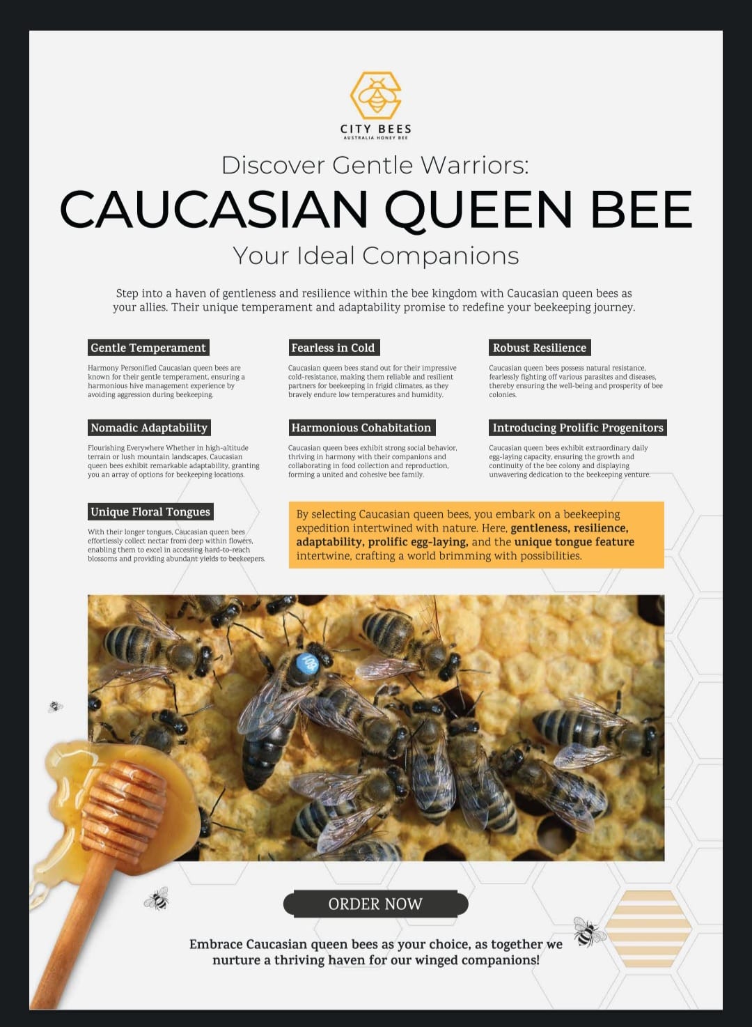 Caucasian Queen Bee