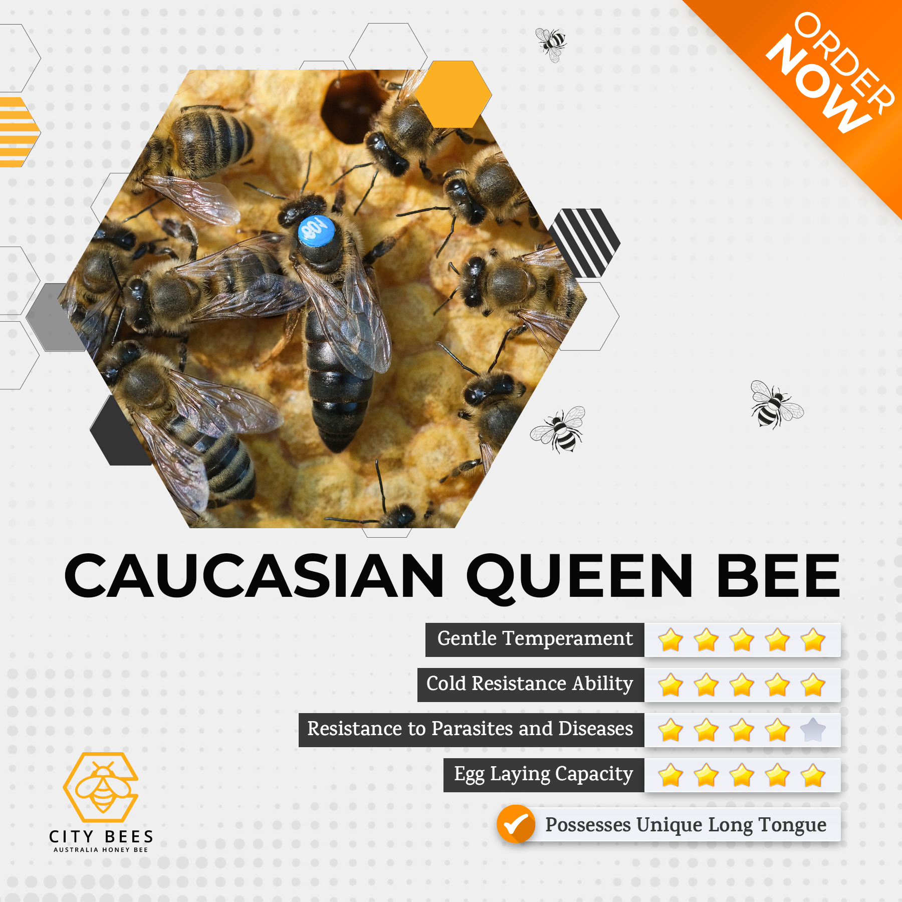 Caucasian Queen Bee