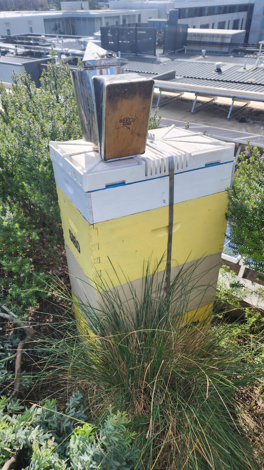 Beehive Hosting