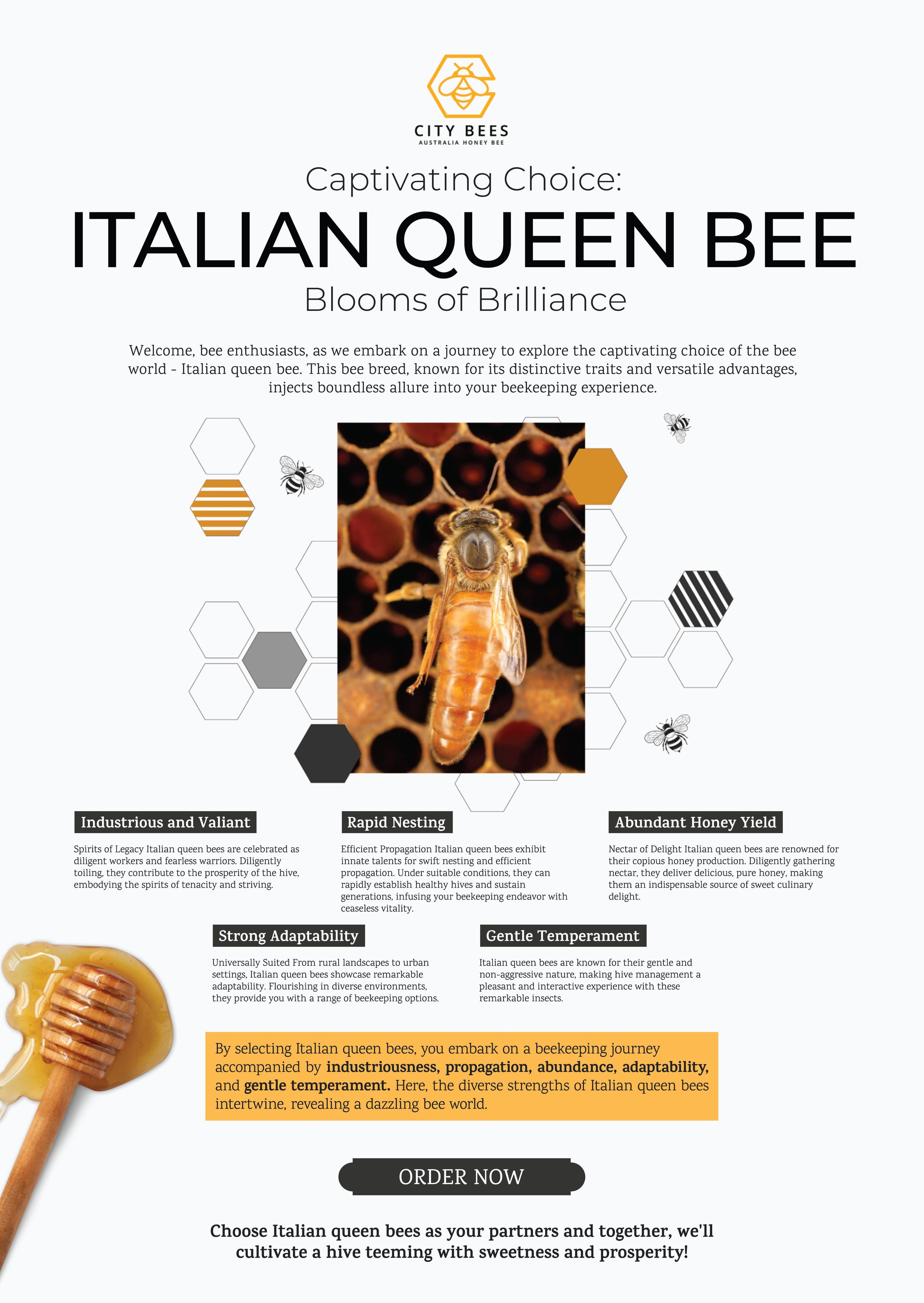Italian Queen Bee