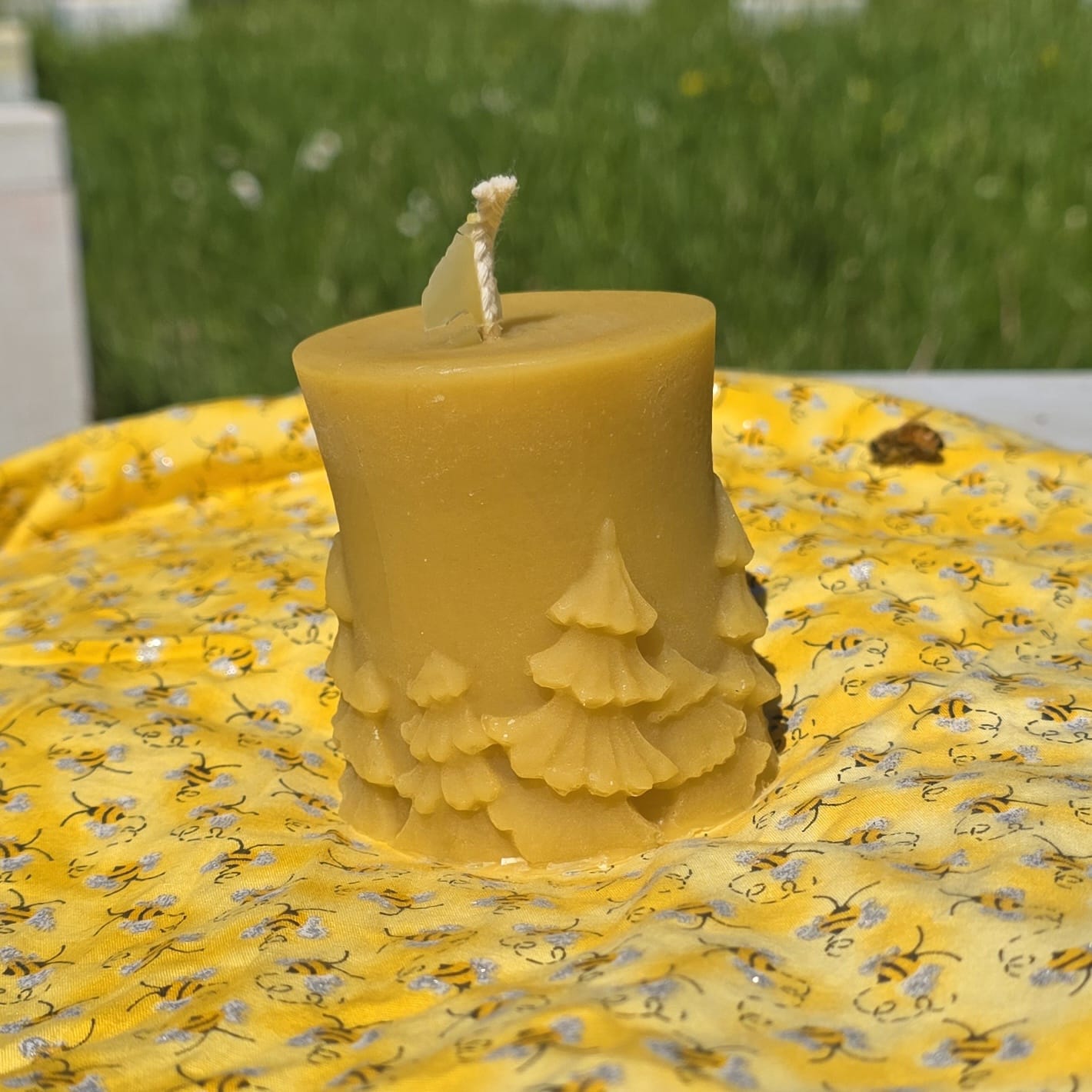 Cylinder with Christmas Trees Candles