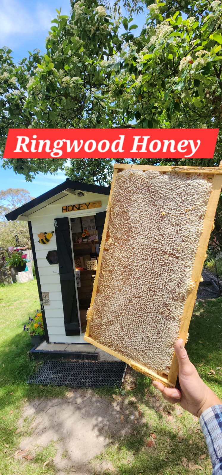 Local Ringwood Honey 1KG